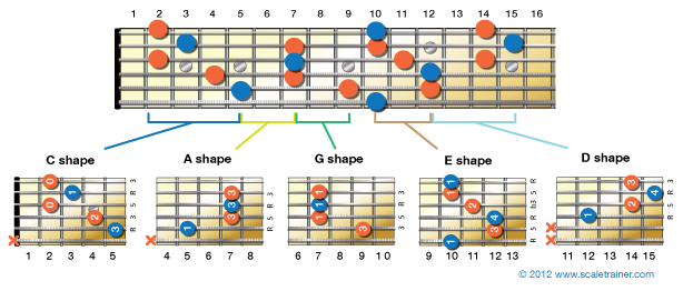 the-caged-system-an-overview-global-guitar-network